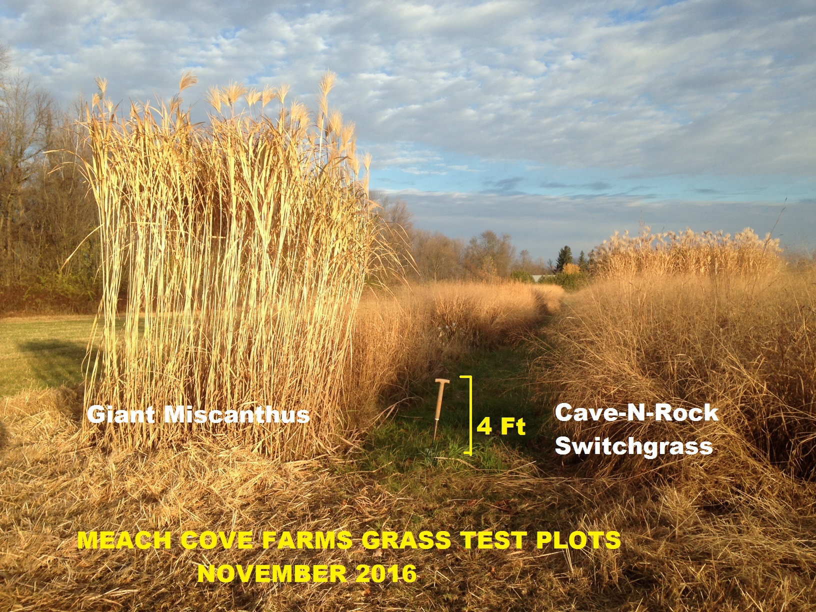 Argosy Foundation Partner Stories — Meach Cove Farms